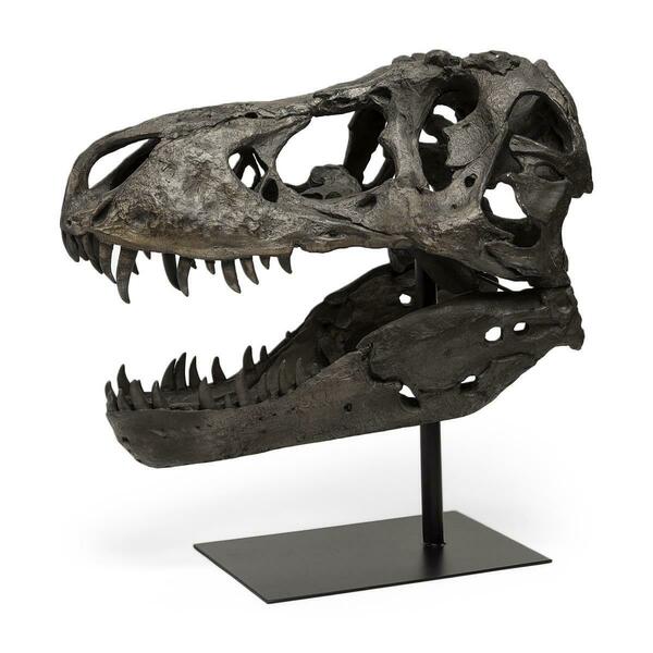 Palacedesigns 20 x 11 x 19 in. Authentic Replica Brown T Rex Skull Sculpture PA3104761